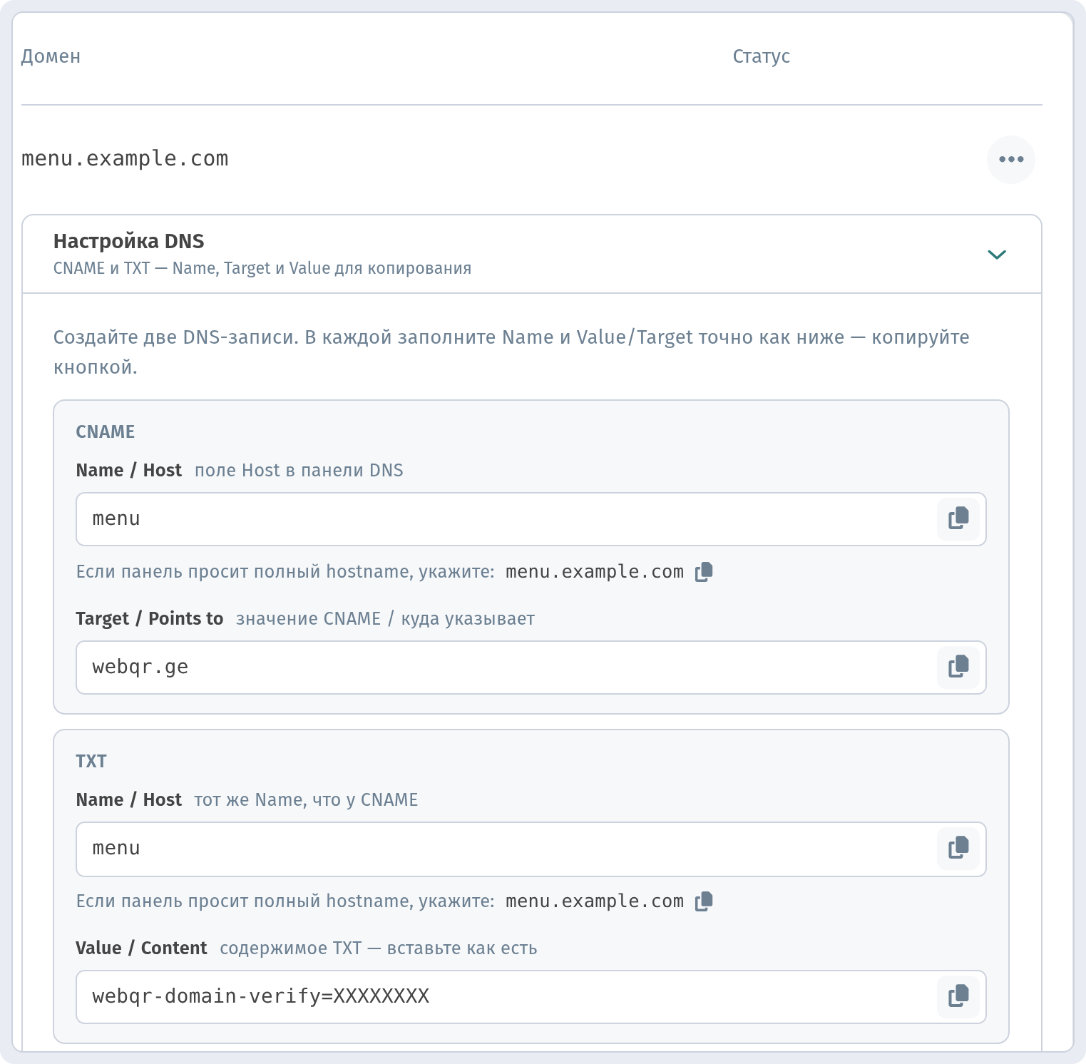 Блок «Настройка DNS» с записями CNAME (Name / Host, Target / Points to) и TXT (Name / Host, Value / Content) и кнопками копирования — код проверки скрыт