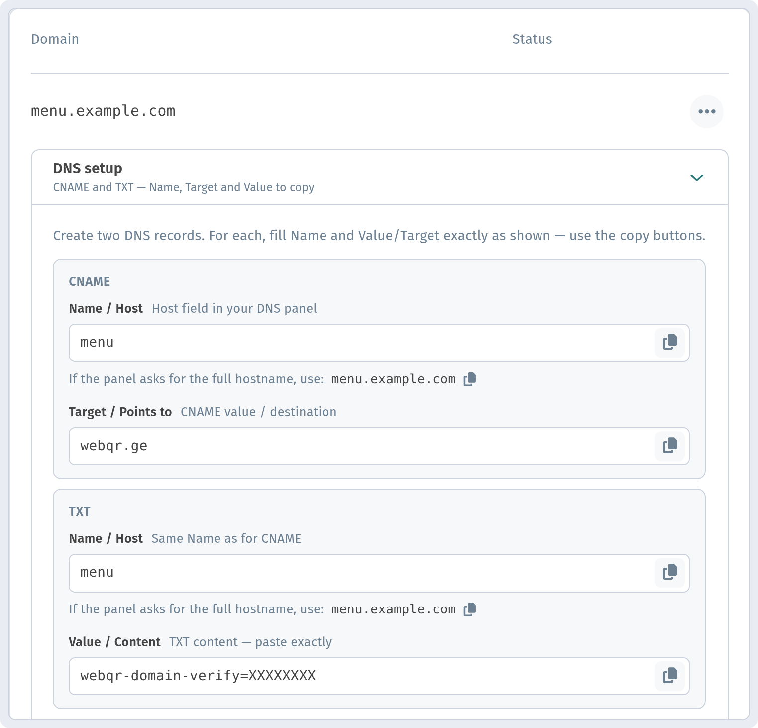 DNS setup block with CNAME (Name / Host, Target / Points to) and TXT (Name / Host, Value / Content) records and copy buttons — verification code masked